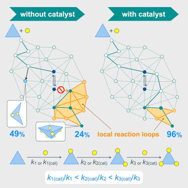 Catalytic manipulation of reversibility and irreversibility in a supramolecular reaction network to control the self-assembly outcome