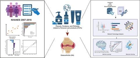 Associations of phenols, parabens, and phthalate compounds related to personal care products with osteoarthritis: evidence from population-based and network toxicology studies