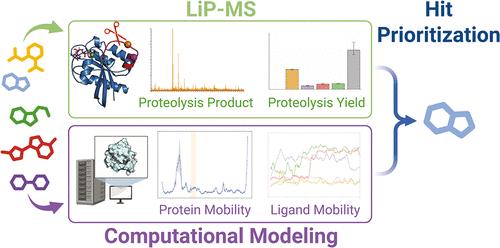 A Hit Prioritization Strategy for Compound Library Screening Using LiP-MS and Molecular Dynamics Simulations Applied to KRas G12D Inhibitors