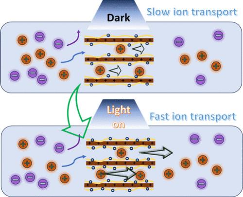 Light-Induced Ion Transport and Energy Harvesting through Aramid Nanofiber-Functionalized Indium Selenide Nanochannels