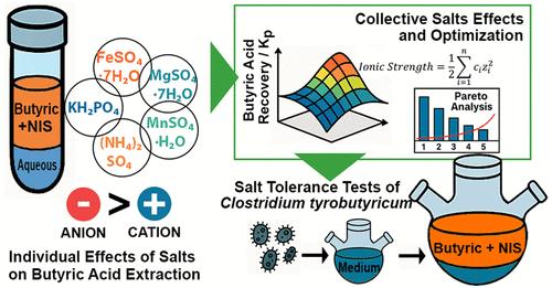 Enhancing Nonionic Surfactant-Mediated Butyric Acid Extraction through Fermentation Medium Salt Augmentation