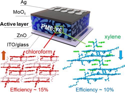 Solvent-Induced Polymorphism Influences Efficiency in Organic Solar Cells