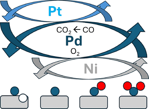 Dynamic Variation of Ni and Pt Single Atom Oxidation States on CeO2 Nanocubes during CO Oxidation