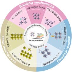 Understanding and mitigating interfacial defects in tin‑lead perovskites for robust photovoltaics