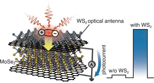 Van der Waals Photodetector with an Integrated WS2 Light-Harvesting Antenna