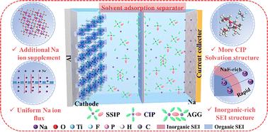 Enhancing low-temperature durability and sodium-ion transport of anode-free sodium metal batteries through utilization of a solvent adsorption separator