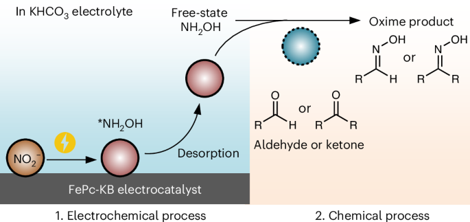 Sustainable oxime production via the electrosynthesis of hydroxylamine in a free state