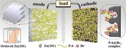 Bifunctional cationic polyelectrolyte additive enables dendrite-free and shuttle-suppressed zinc-bromine batteries