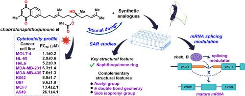 SAR studies of chabrolonaphthoquinone B via rational design and synthesis of analogues - Cytotoxicity evaluation uncovers anticancer activity via mRNA splicing modulation
