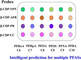 Integrating cyclodextrin fluorescence sensing array and machine learning for rapid screening and detection of perfluoroalkyl substances