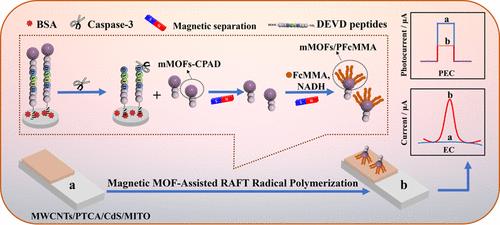 Magnetic MOF-Assisted Radical Polymerization Signal Amplification in Homogeneous System for Ultrasensitive PEC-EC Dual-Mode Detection of Caspase-3 Activity