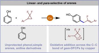 Copper-catalyzed HFIP-promoted para-selective allylation of phenols via C–C bond activation of gem-difluorinated cyclopropanes