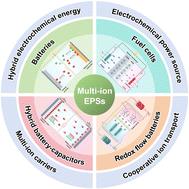 Electrochemical power sources enabled by multi-ion carriers