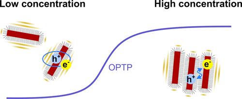 Understanding and Controlling the Colloidal Stability of CdSe Nanoplatelets by Solvation Force Engineering