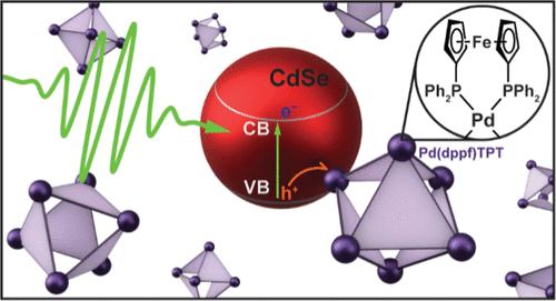Excited-State Hole-Transfer from CdSe Quantum Dots to a Self-Assembled Pd(II) Nanocage Functionalized with Ferrocenes