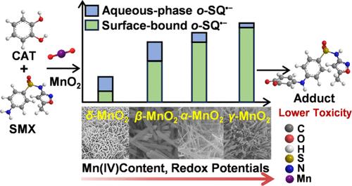 MnO2 Crystal Phases Mediate o-Semiquinone Radical Generation for Selective Aniline Contaminant Oxidation