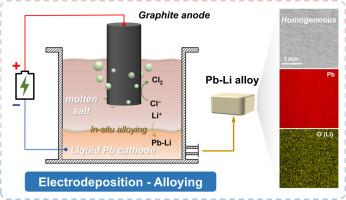 Molten salt electrodeposition enabling direct and efficient preparation of homogeneous Pb-Li eutectic alloys
