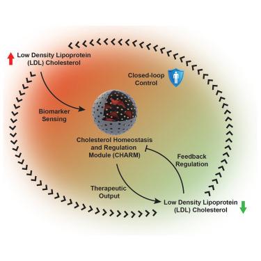 A closed-loop cholesterol shunt controlling experimental dyslipidemia
