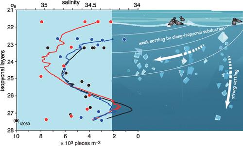 Settling and Along-Isopycnal Subduction of Small Microplastics Into Subsurface Layers of the Western North Pacific Ocean