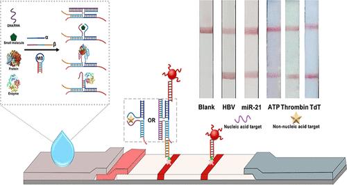 DNA Multiway Junction Based Lateral Flow Assay for Visualized Detection of Different Types of Targets