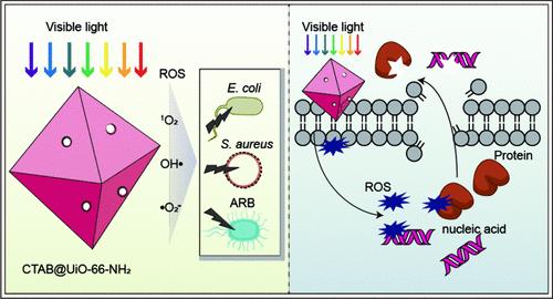 Rapid Visible Light-Driven Water Disinfection with CTAB-Modified UiO-66-NH2