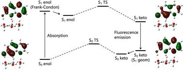 A multi-component density functional study on quantum effects of hydrogen nuclei on ground-state and excited-state proton transfer reactions in 7-hydroxyquinoline