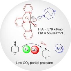 Cationic indium complexes halve H2 partial pressure in CO2 reductive coupling reactions with amines