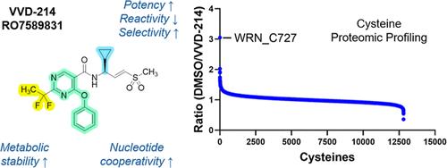 Identification of VVD-214/RO7589831, a Clinical-Stage, Covalent Allosteric Inhibitor of WRN Helicase for the Treatment of MSI-High Cancers