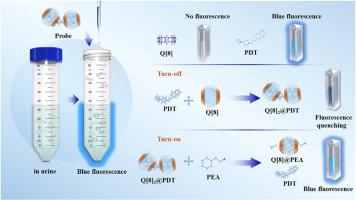 A novel cucurbit[8]uril-based fluorescent probe for the detection of phenethylamine in urine
