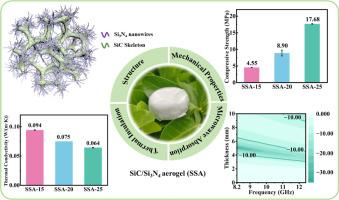 Robust and thermostable silicon-based aerogels towards highly efficient thermal insulation and microwave absorption