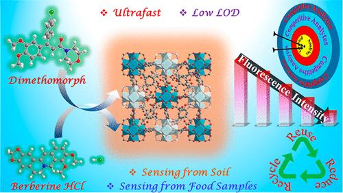 A Luminescent Cerium MOF for Rapid, Nanomolar and Recyclable Detection of Alkaloid Berberine and Fungicide Dimethomorph in Environmental Water and Food Samples