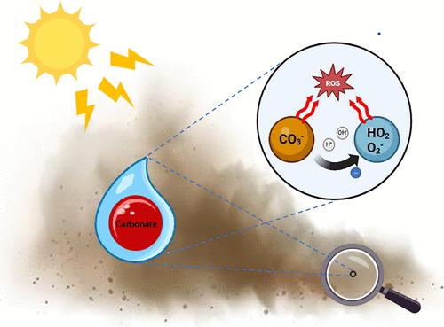 Spontaneous Oxygen−Carbonate Synergistic Photoactivation as a Novel Pathway for Atmospheric Radicals
