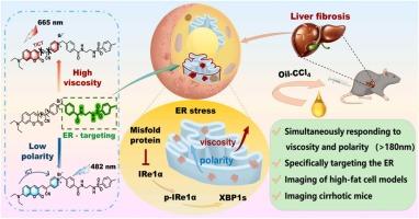An endoplasmic reticulum-targeted fluorescent probe for detecting polarity and viscosity and its bioimaging in vitro and vivo