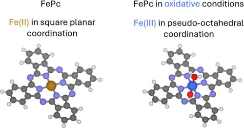 Role of Water in Modulating the Fe3+/Fe2+ Redox Couple in Iron-Based Complexes and Single-Atom Catalysts