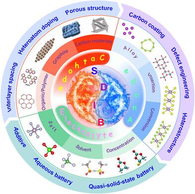 Sodium-Based Dual-Ion Battery: From Materials to Mechanism.