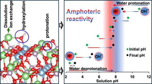Unveiling the Amphoteric Surface Reactivity of Montebrasite using Spectroscopic and First-Principles Methods