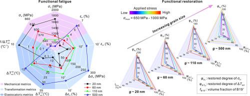 Functional fatigue and restoration in superelastic NiTi shape-memory alloys