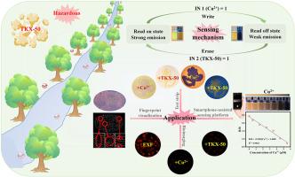 A copper-bridged fluorescent sensor for sequential detection of Cu2+ and TKX-50: Synthesis, mechanism, and applications