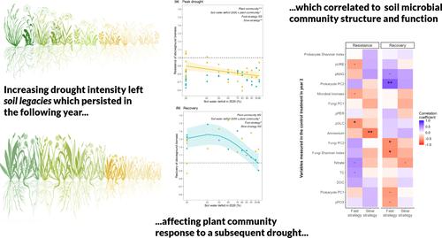 Drought Intensity Shapes Soil Legacy Effects on Grassland Plant and Soil Microbial Communities and Their Responses to Future Drought