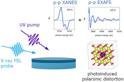 Ultrafast Dynamics of Electronic and Structural Modifications Induced by Photoexcitation in Cerium Oxide