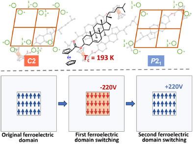 The First Ferrocene-Based Molecular Ferroelectric Accompanied by Spatial Symmetry Operation Breaking.