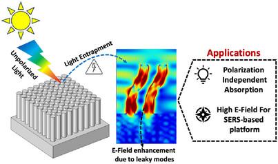 Origin of Strong and Tunable Polarization-Independent Light-Trapping in Asymmetric Silicon Nanostructures