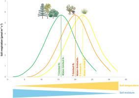 Vegetation type and climate determine temperature thresholds of soil respiration across drylands