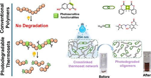 Photodegradable Biobased Polybenzoxazines: Toward Circular Thermosets