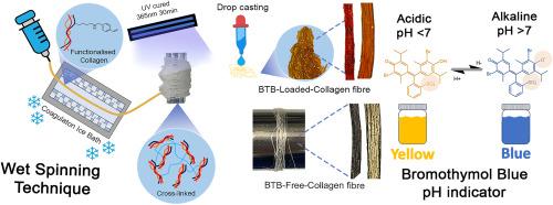 An infection-responsive collagen-based wet-spun textile fibre for wound monitoring