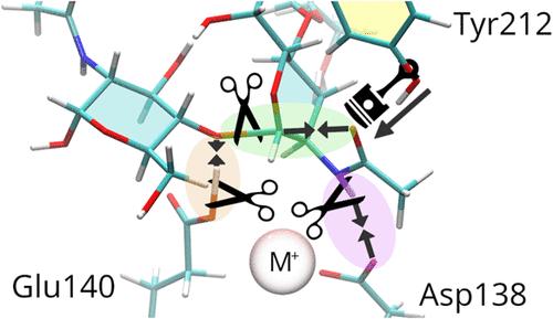 Elucidation of the Catalytic Apparatus and Mechanism of Human Chitotriosidase-1
