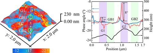 Illumination Regulated Ion Migration in Metal Halide Perovskite