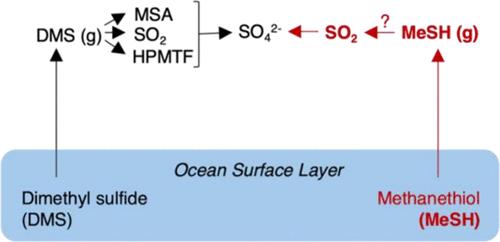 Global Impacts of Marine Methanethiol Emissions and Chemistry in the Atmosphere