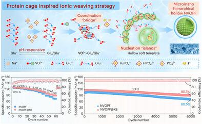 Protein Cage Inspired Bridge-Island Effect Enables Low-Temperature Targeted Self-Assembly of Hierarchical Hollow Polyanionic Cathodes for Sodium-Ion Batteries.