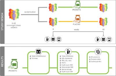 Effects of a Probiotic Formulation Based on SF68, Phytosterols, and 6S-5-Methyltetrahydrofolic Acid on Body Composition, Biochemical Parameters, Gut Microbiota, and Gastrointestinal and General Symptoms of Overweight/Obese Subjects: The PrObesity Study.